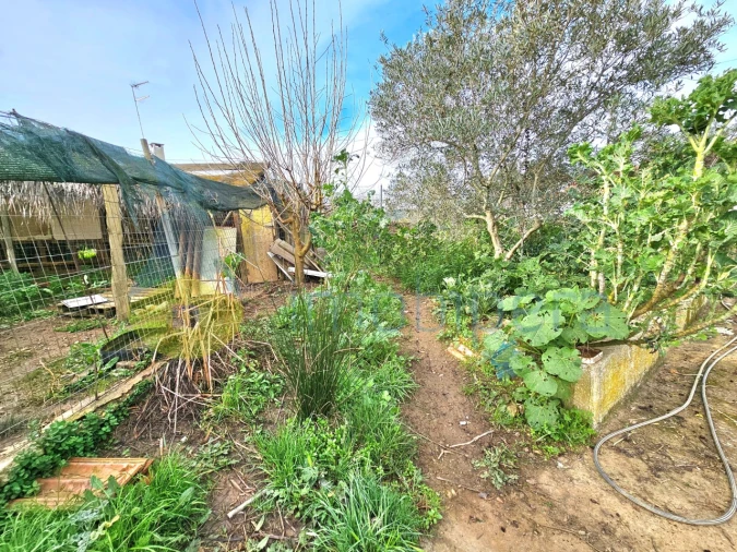 Moradia T3 para Venda em Ameixial Foto 27