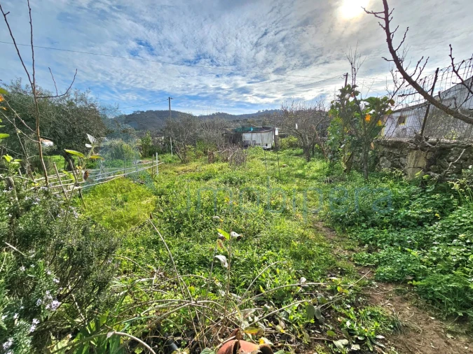 Moradia T3 para Venda em Ameixial Foto 29