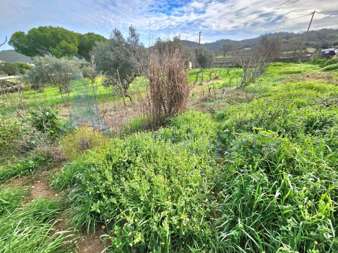 Moradia T3 para Venda em Ameixial Foto 28