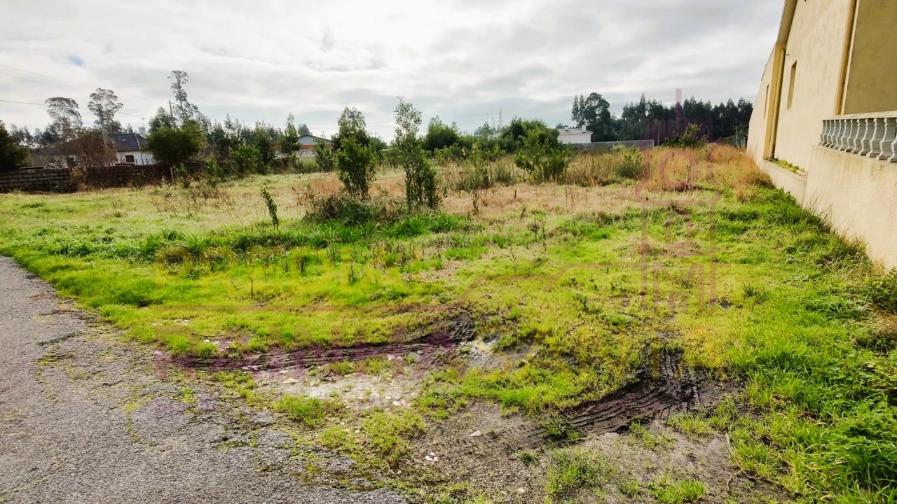 Terreno para Venda em Calvão Foto 2