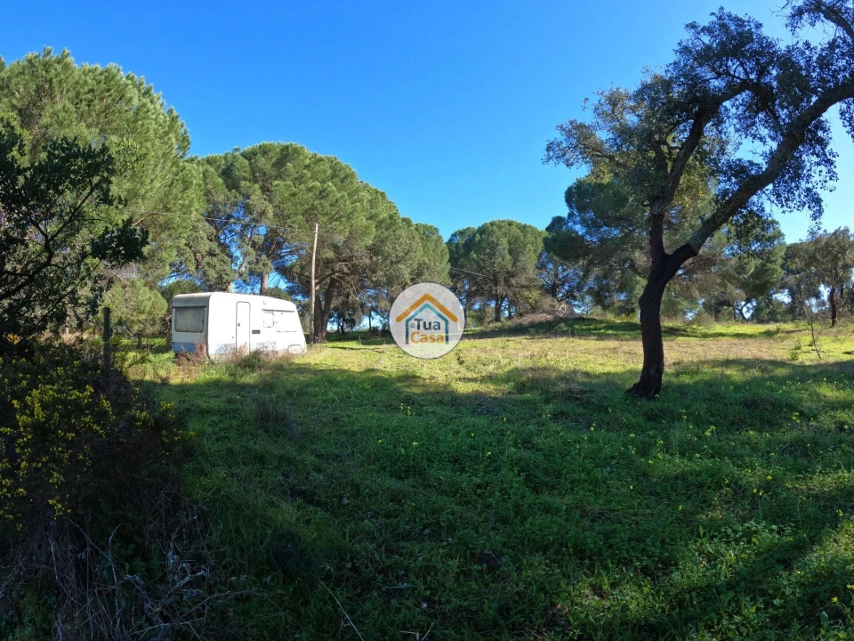 Terreno para Venda em Cortiçadas de Lavre e Lavre Foto 3