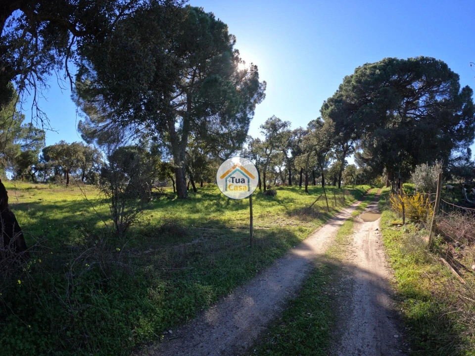Terreno para Venda em Cortiçadas de Lavre e Lavre Foto 1