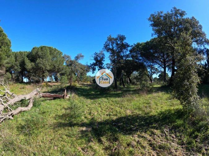 Terreno para Venda em Cortiçadas de Lavre e Lavre Foto 9