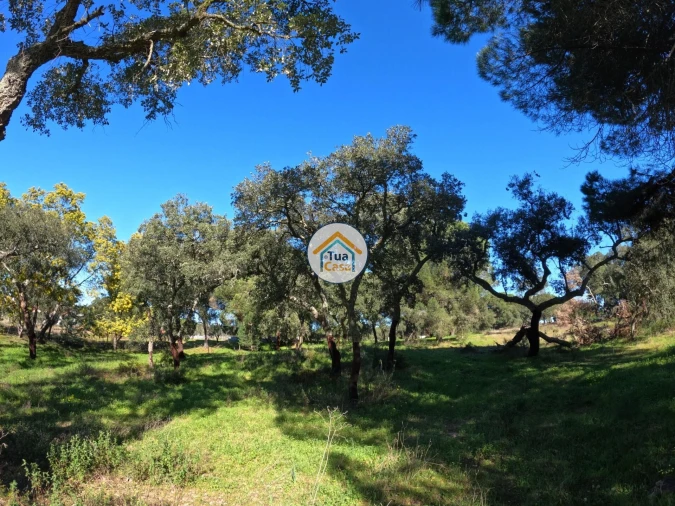 Terreno para Venda em Cortiçadas de Lavre e Lavre Foto 5