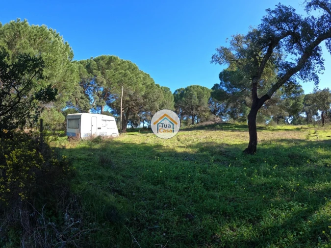 Terreno para Venda em Cortiçadas de Lavre e Lavre Foto 3