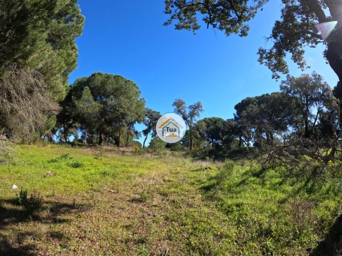 Terreno para Venda em Cortiçadas de Lavre e Lavre Foto 10
