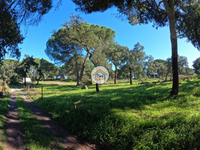 Terreno para Venda em Cortiçadas de Lavre e Lavre Foto 2