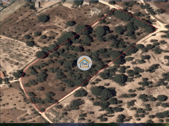 Terreno para Venda em Cortiçadas de Lavre e Lavre Foto 16