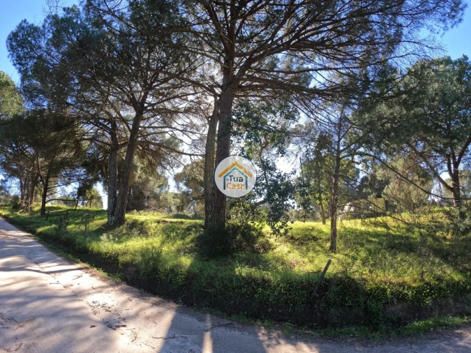 Terreno para Venda em Cortiçadas de Lavre e Lavre Foto 15