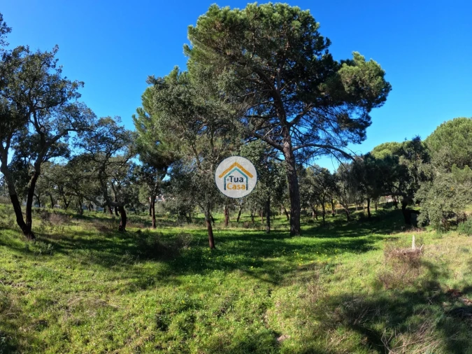 Terreno para Venda em Cortiçadas de Lavre e Lavre Foto 6