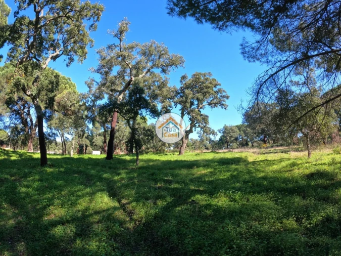 Terreno para Venda em Cortiçadas de Lavre e Lavre Foto 4