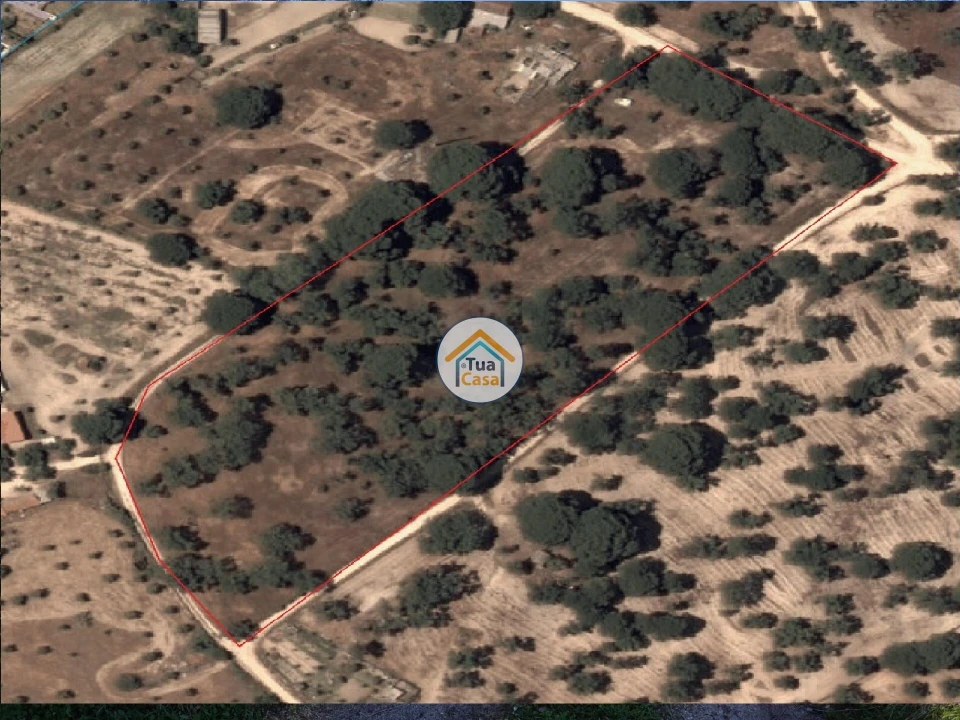 Terreno para Venda em Cortiçadas de Lavre e Lavre Foto 16