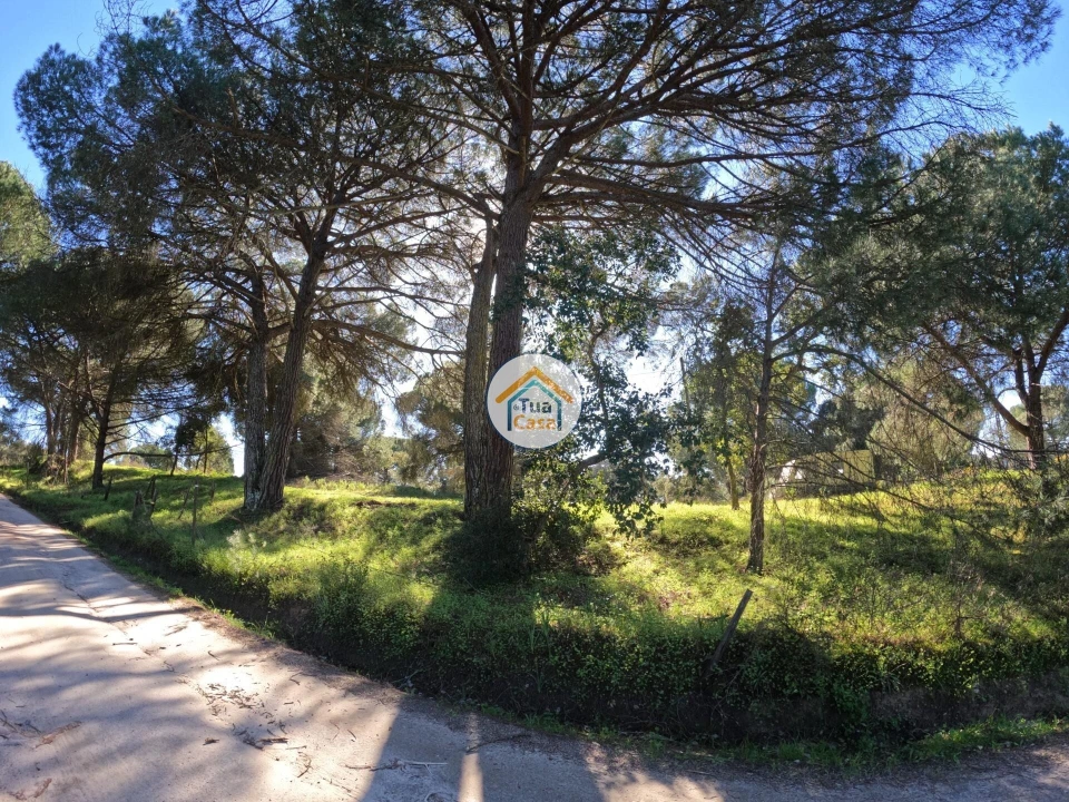 Terreno para Venda em Cortiçadas de Lavre e Lavre Foto 15