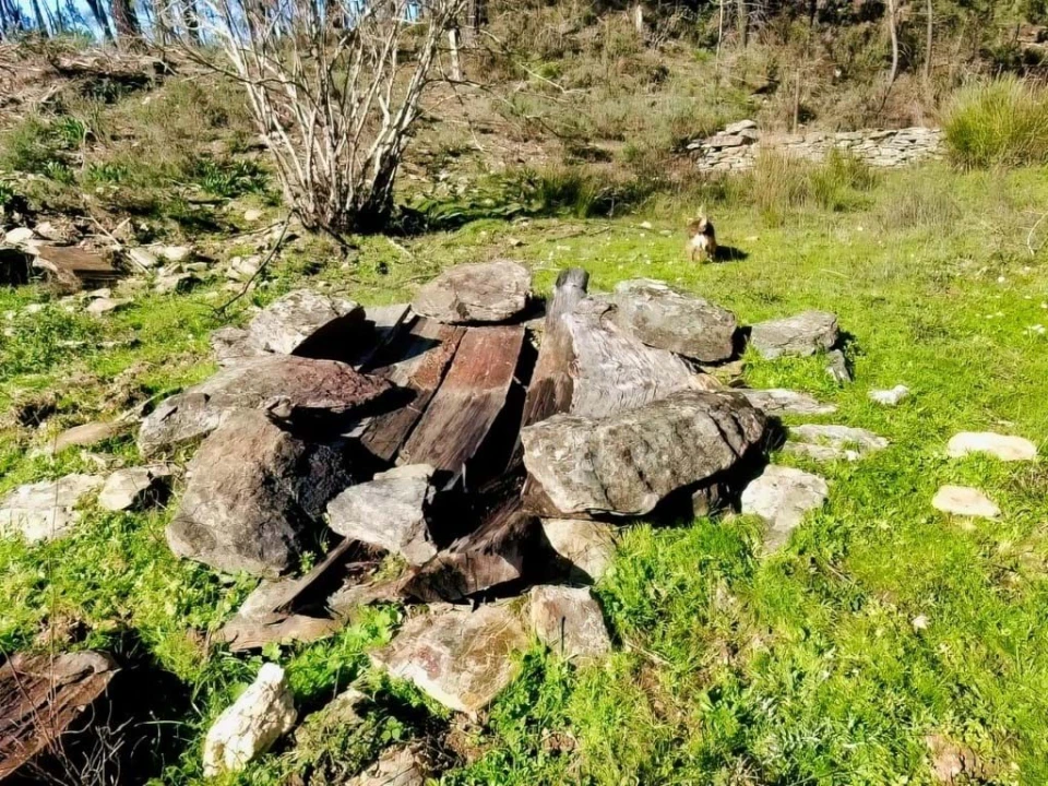 Quinta para Venda em Santo Andre das Tojeiras Foto 11