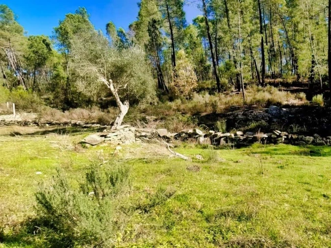 Quinta para Venda em Santo Andre das Tojeiras Foto 12