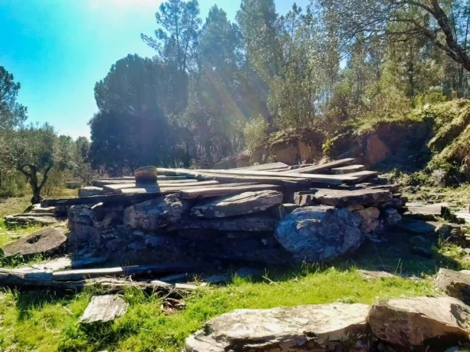 Quinta para Venda em Santo Andre das Tojeiras Foto 19