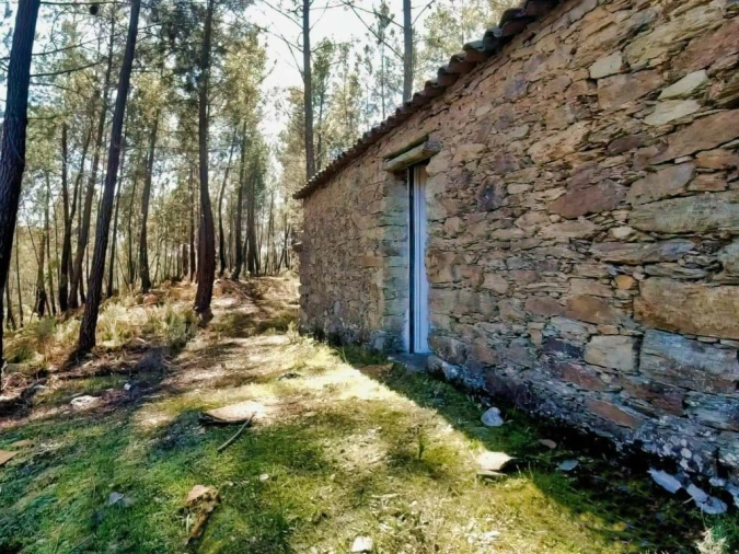 Quinta para Venda em Santo Andre das Tojeiras Foto 1