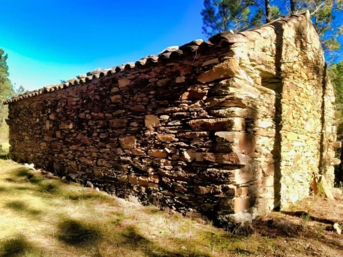 Quinta para Venda em Santo Andre das Tojeiras Foto 3
