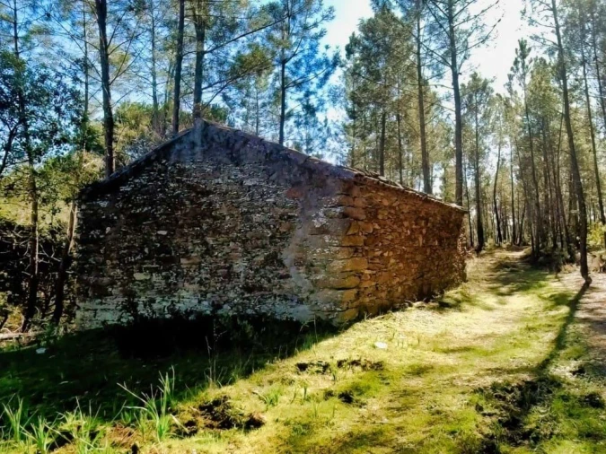 Quinta para Venda em Santo Andre das Tojeiras Foto 6