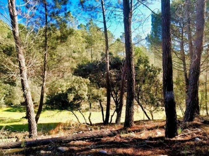 Quinta para Venda em Santo Andre das Tojeiras Foto 23