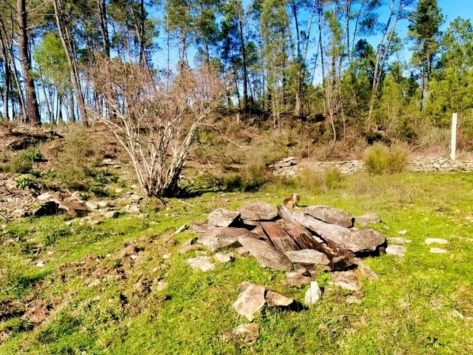 Quinta para Venda em Santo Andre das Tojeiras Foto 10
