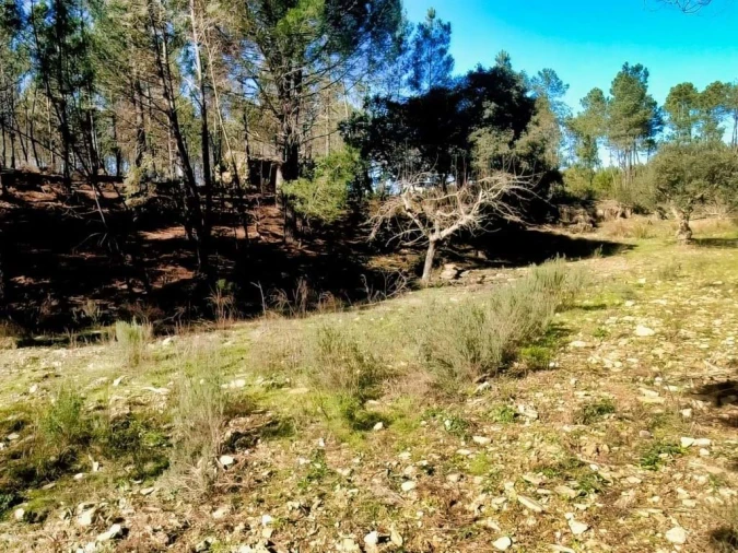 Quinta para Venda em Santo Andre das Tojeiras Foto 18