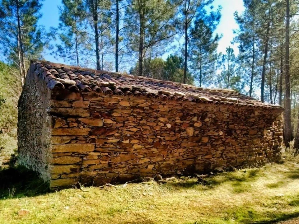 Quinta para Venda em Santo Andre das Tojeiras Foto 2
