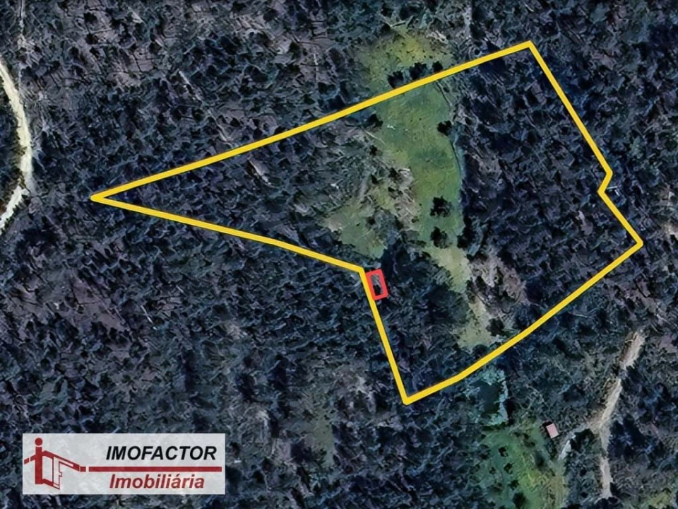 Quinta para Venda em Santo Andre das Tojeiras Foto 7