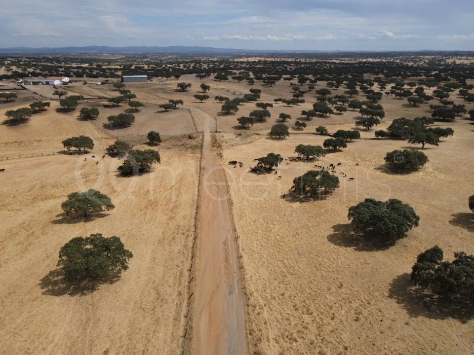 Quinta T4 para Venda em Serpa (Salvador e Santa Maria) Foto 3