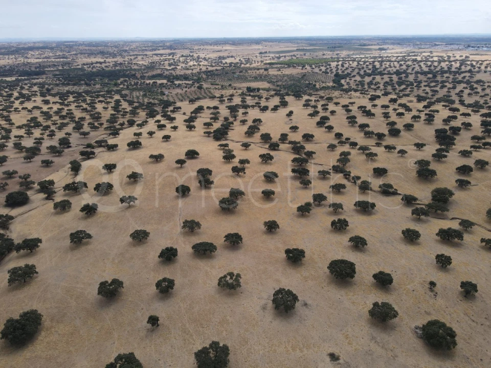 Quinta T4 para Venda em Serpa (Salvador e Santa Maria) Foto 5