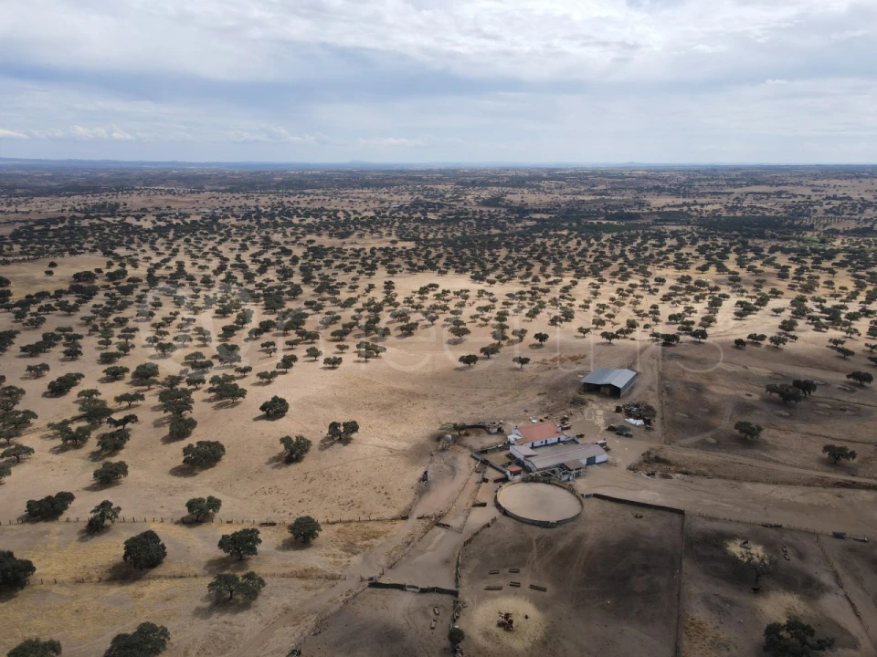 Quinta T4 para Venda em Serpa (Salvador e Santa Maria) Foto 7