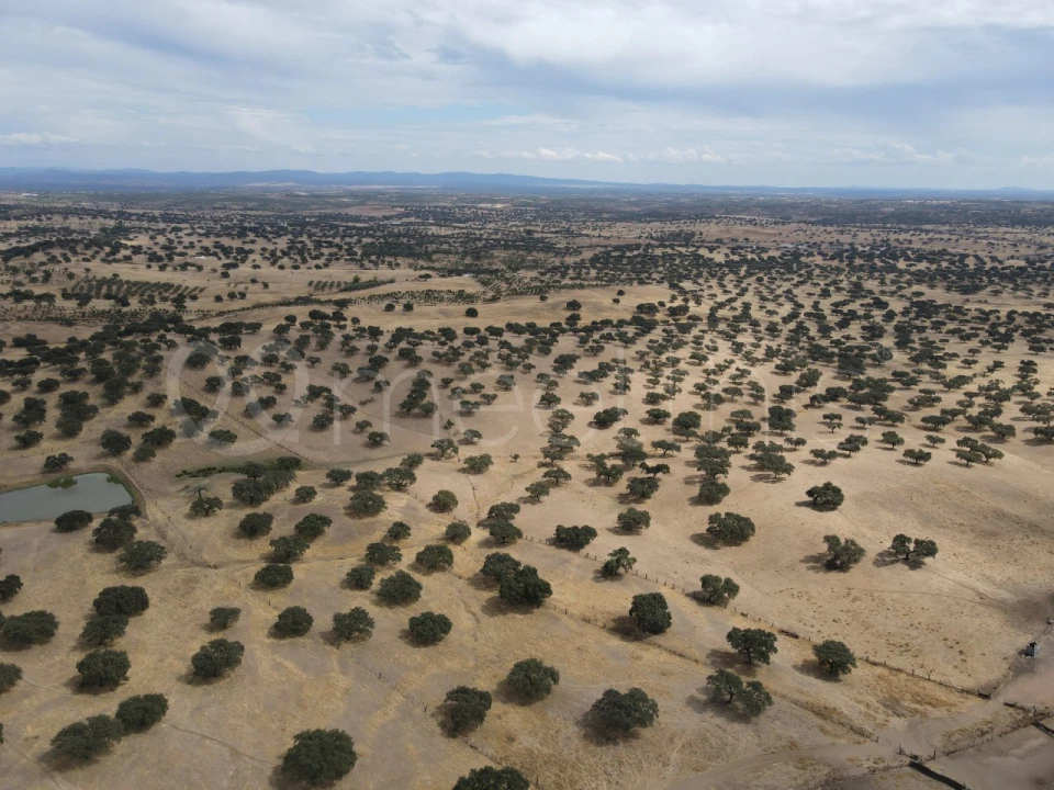 Quinta T4 para Venda em Serpa (Salvador e Santa Maria) Foto 8