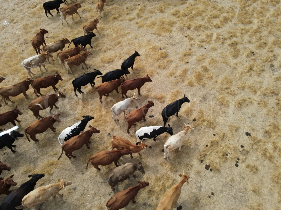 Quinta T4 para Venda em Serpa (Salvador e Santa Maria) Foto 15