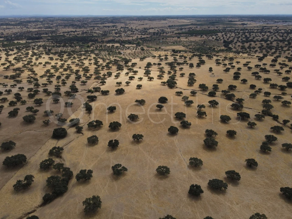 Quinta T4 para Venda em Serpa (Salvador e Santa Maria) Foto 23