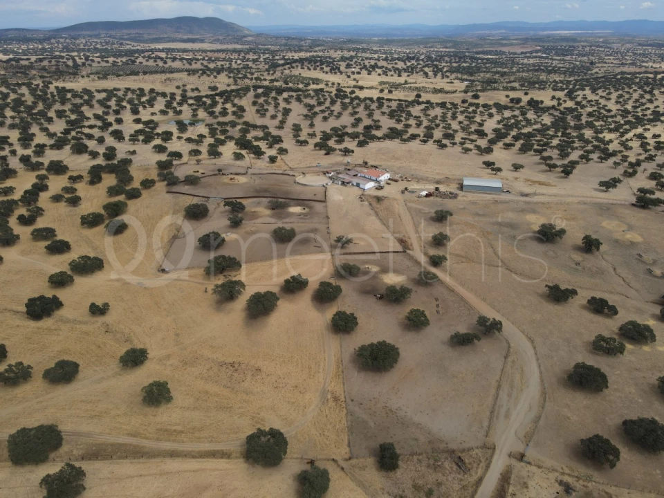 Quinta T4 para Venda em Serpa (Salvador e Santa Maria) Foto 24