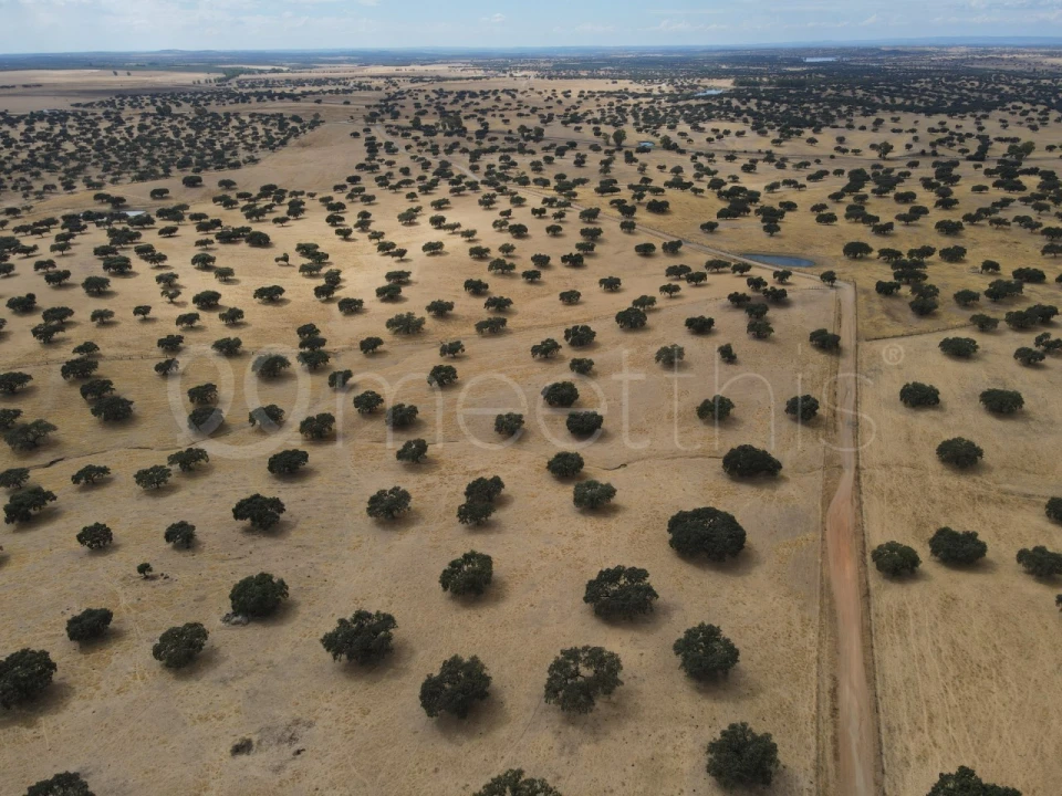 Quinta T4 para Venda em Serpa (Salvador e Santa Maria) Foto 26