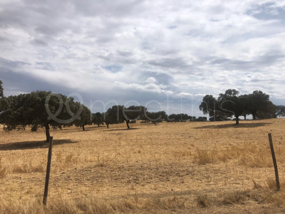 Quinta T4 para Venda em Serpa (Salvador e Santa Maria) Foto 28