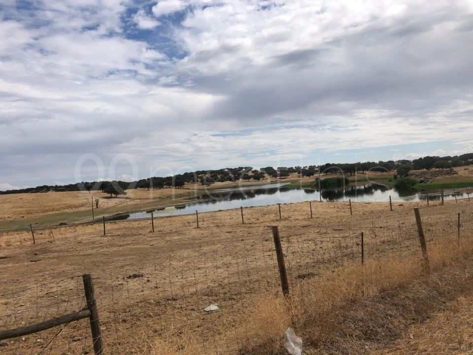 Quinta T4 para Venda em Serpa (Salvador e Santa Maria) Foto 30