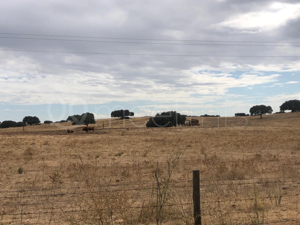 Quinta T4 para Venda em Serpa (Salvador e Santa Maria) Foto 31