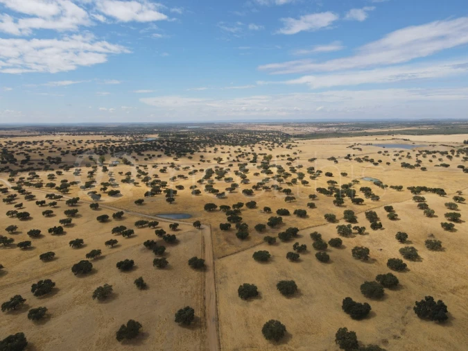 Quinta T4 para Venda em Serpa (Salvador e Santa Maria) Foto 2