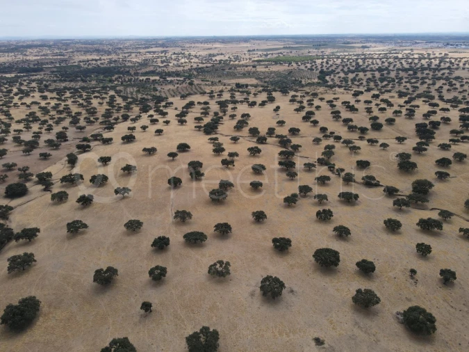 Quinta T4 para Venda em Serpa (Salvador e Santa Maria) Foto 5