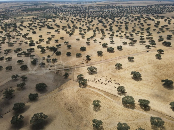 Quinta T4 para Venda em Serpa (Salvador e Santa Maria) Foto 10