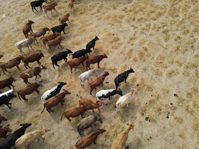 Quinta T4 para Venda em Serpa (Salvador e Santa Maria) Foto 15