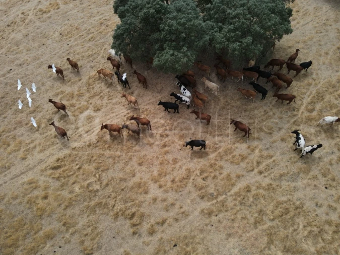Quinta T4 para Venda em Serpa (Salvador e Santa Maria) Foto 18