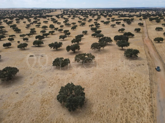 Quinta T4 para Venda em Serpa (Salvador e Santa Maria) Foto 22