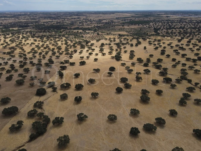 Quinta T4 para Venda em Serpa (Salvador e Santa Maria) Foto 23