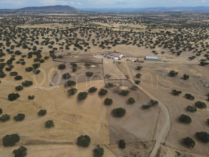 Quinta T4 para Venda em Serpa (Salvador e Santa Maria) Foto 24