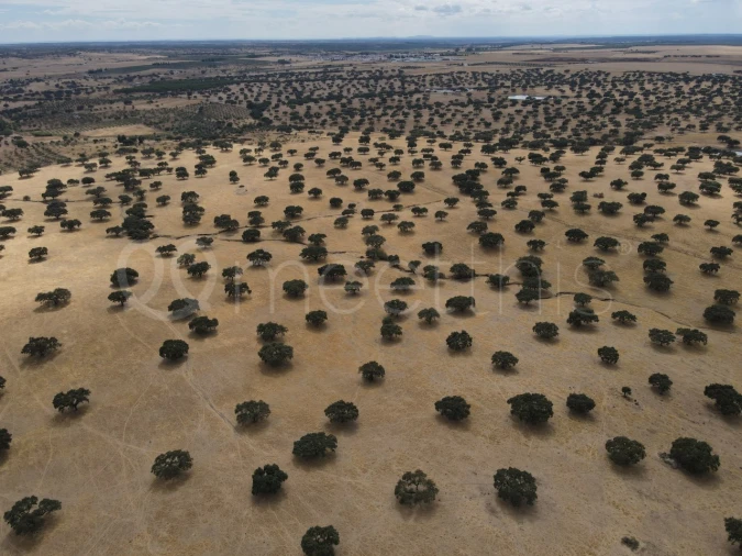 Quinta T4 para Venda em Serpa (Salvador e Santa Maria) Foto 25