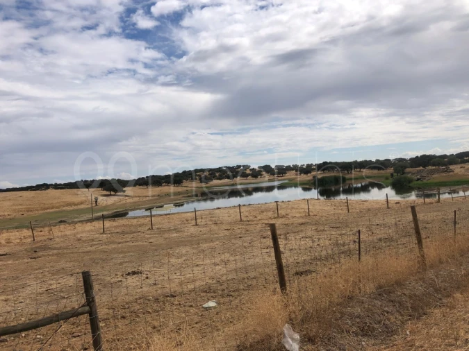 Quinta T4 para Venda em Serpa (Salvador e Santa Maria) Foto 30