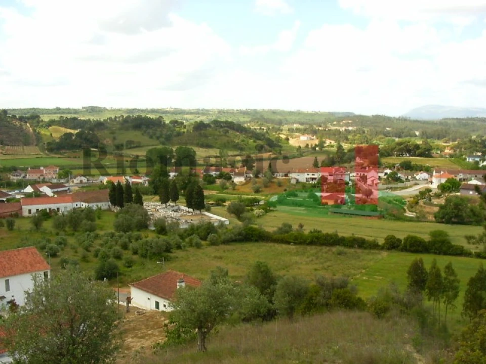 Terreno para Venda em São João da Ribeira e Ribeira de São João Foto 8
